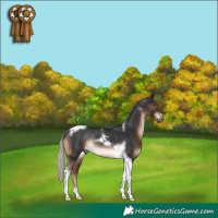 Horse Color:Liver Chestnut Mushroom Tobiano Rabicano