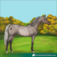 Horse Color:Silver Brown Roan Dun Rabicano 