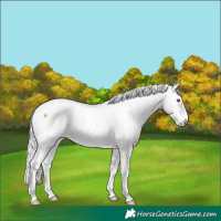 Horse Color:Chocolate Smoky Creme Chinchilla Roan Dun 