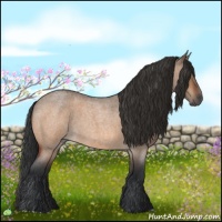 Horse Color:Bay Roan Dun 