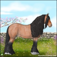 Horse Color:Bay Roan 