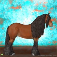 Horse Color:Buckskin Sabino