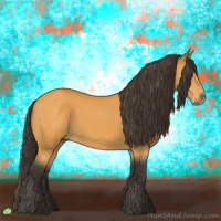 Horse Color:Buckskin 