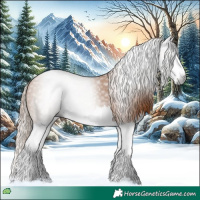 Horse Color:Gray Chestnut Splash 