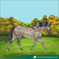 Horse Color:Brown Dun Tobiano Snowflake Varnish