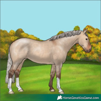 Horse Color:Silver Brown Dun 