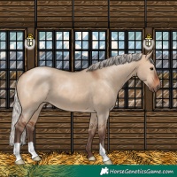 Horse Color:Silver Brown Dun