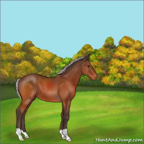 Horse Color:Silver Brown 