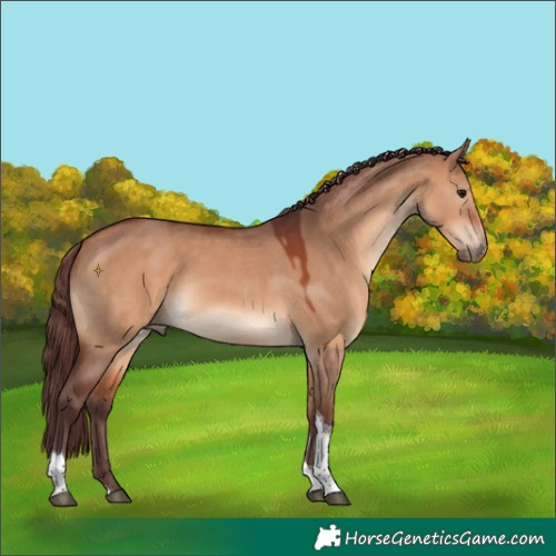 Horse Color:Chocolate Bay Dun Tobiano 