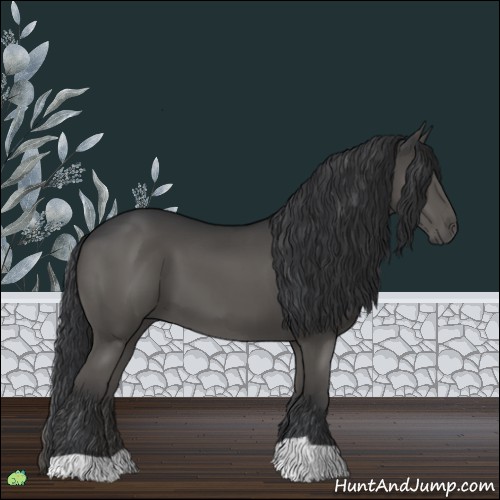 Horse Color:Grullo 