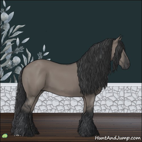 Horse Color:Grullo