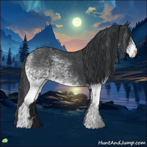 Horse Color:White Spotted Black 