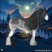 Horse Color:White Spotted Black