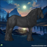 Horse Color:Black 