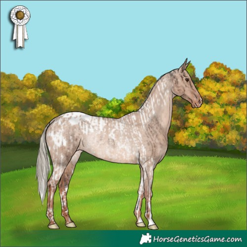 Horse Color:Liver Red Dun Mushroom Tobiano Varnish Rabicano Brindle and Red Dun Mushroom Blanket Rabicano