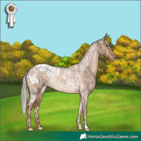 Horse Color:Liver Red Dun Mushroom Tobiano Varnish Rabicano Brindle  and Red Dun Mushroom Blanket Rabicano 