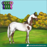 Horse Color:Liver Chestnut Mushroom Rabicano  and Gray Liver Red Dun Mushroom Rabicano 