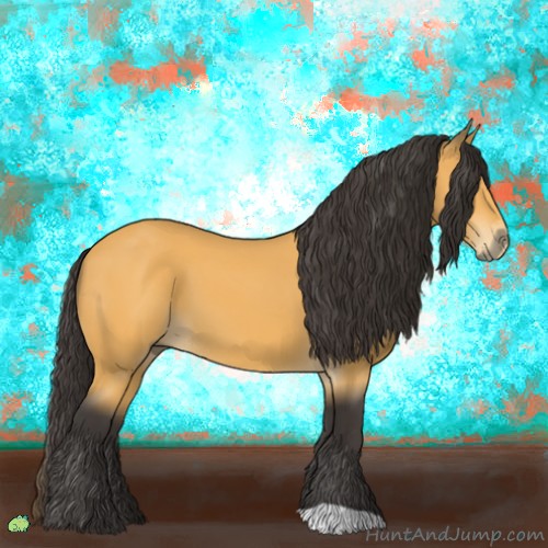 Horse Color:Buckskin 