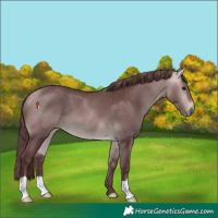 Horse Color:Platinum Chocolate Buckskin 