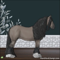 Horse Color:Grullo 