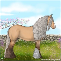 Horse Color:Silver Bay Dun 