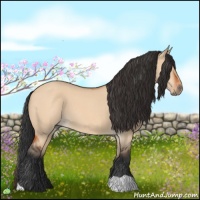 Horse Color:Bay Roan Dun 