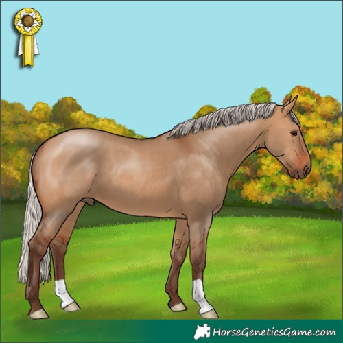 Horse Color:Silver Bay Dun 