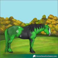 Horse Color:Black Splash 