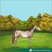 Horse Color:Brown Pearl Dun Rabicano 