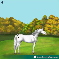 Horse Color:Silver Brown Roan Pearl Dun Varnish Rabicano