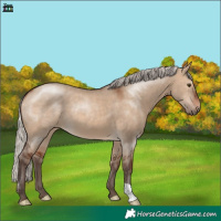 Horse Color:Silver Brown Dun