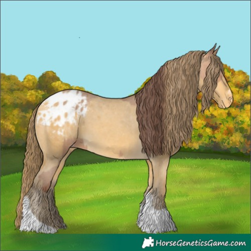 Horse Color:Amber Champagne Sabino Tobiano Appaloosa  and Amber Cream Champagne Sabino Tobiano Appaloosa 