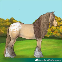 Horse Color:Amber Champagne Sabino Tobiano Appaloosa  and Amber Cream Champagne Sabino Tobiano Appaloosa 
