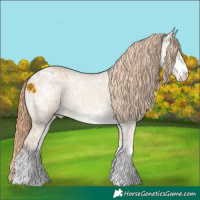 Horse Color:White Spotted Red Dun Ice Varnish Rabicano 