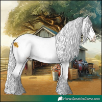 Horse Color:White Spotted Chestnut Chinchilla Ice Varnish Rabicano 
