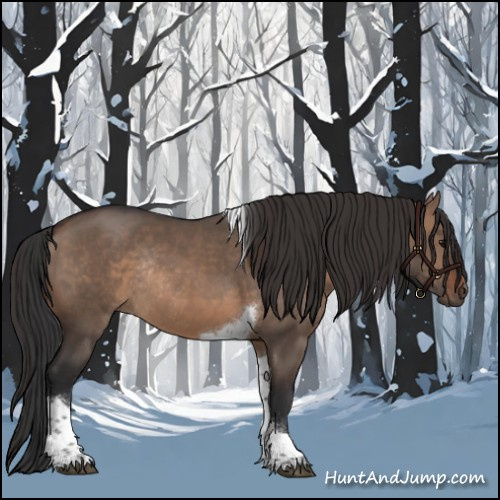 Horse Color:Brown Dun Tobiano Rabicano 