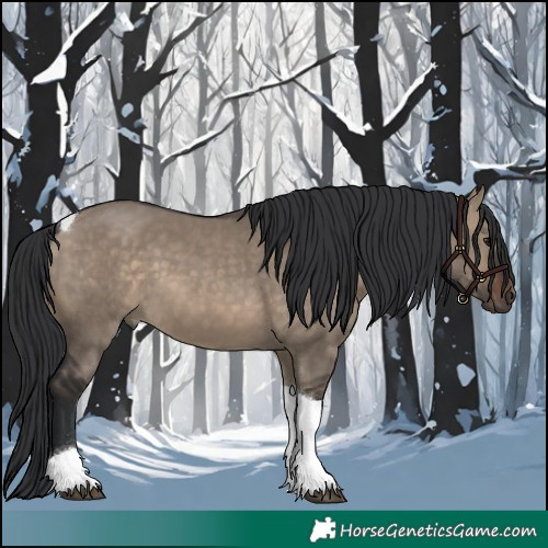 Horse Color:Brown Dun Tobiano 