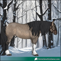 Horse Color:Brown Dun Tobiano