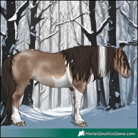 Horse Color:Liver Red Dun Tobiano Rabicano 