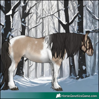 Horse Color:Liver Red Dun Tobiano Rabicano 