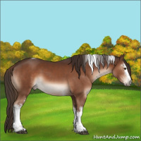 Horse Color:White Spotted Liver Chestnut Tobiano 