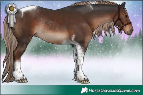 Horse Color:Liver Chestnut Tobiano Rabicano 