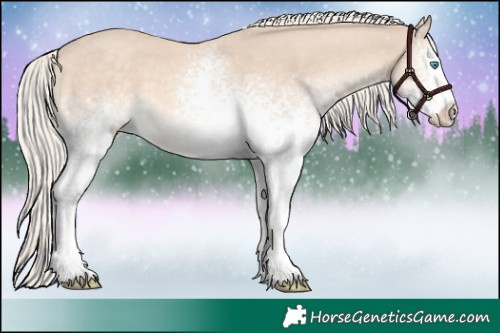 Horse Color:White Spotted Cremello 