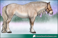 Horse Color:Chocolate Palomino Roan Tobiano Rabicano