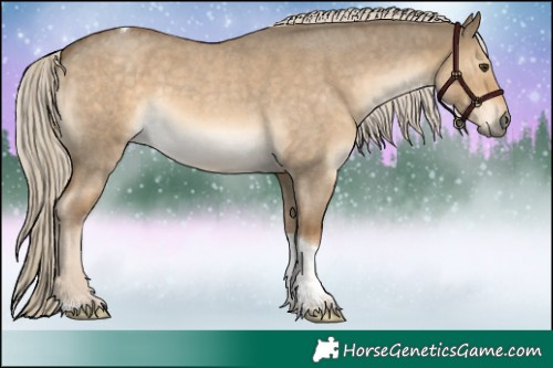 Horse Color:Chocolate Palomino Roan Dun Tobiano 