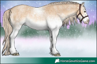 Horse Color:White Spotted Palomino Roan Rabicano