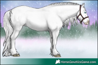 Horse Color:Platinum Cremello Roan Dun Splash 