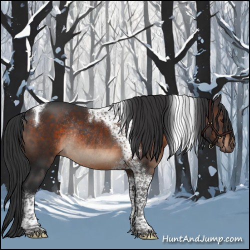 Horse Color:Brown Tobiano Rabicano 