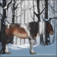 Horse Color:Brown Tobiano Rabicano