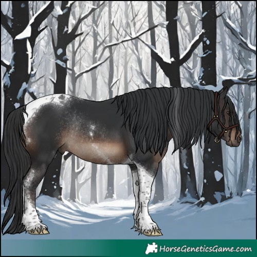 Horse Color:Brown Tobiano Rabicano